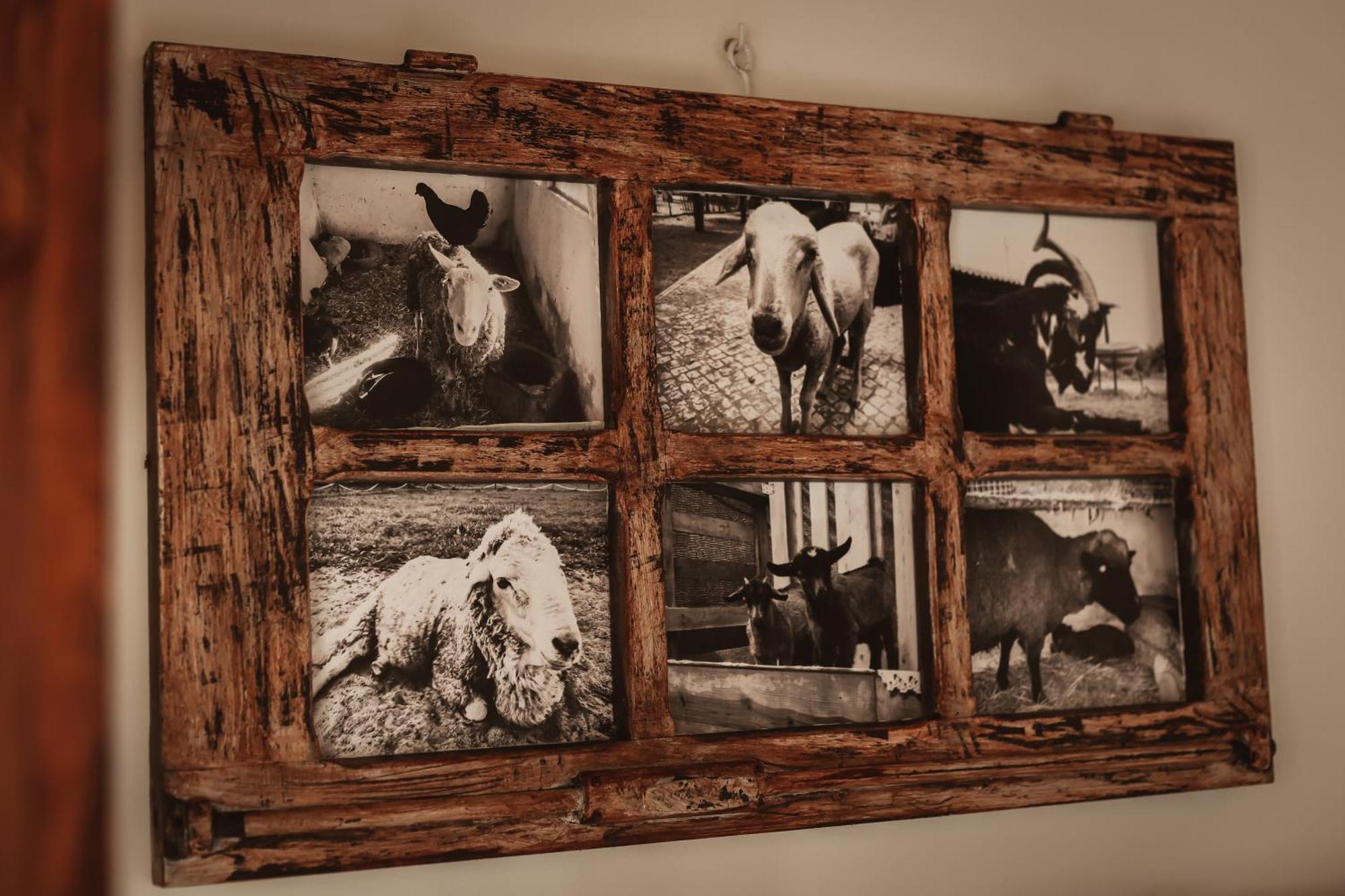Quinta Das Cacadoras - Animal Lovers Only ปัลเมลา ภายนอก รูปภาพ