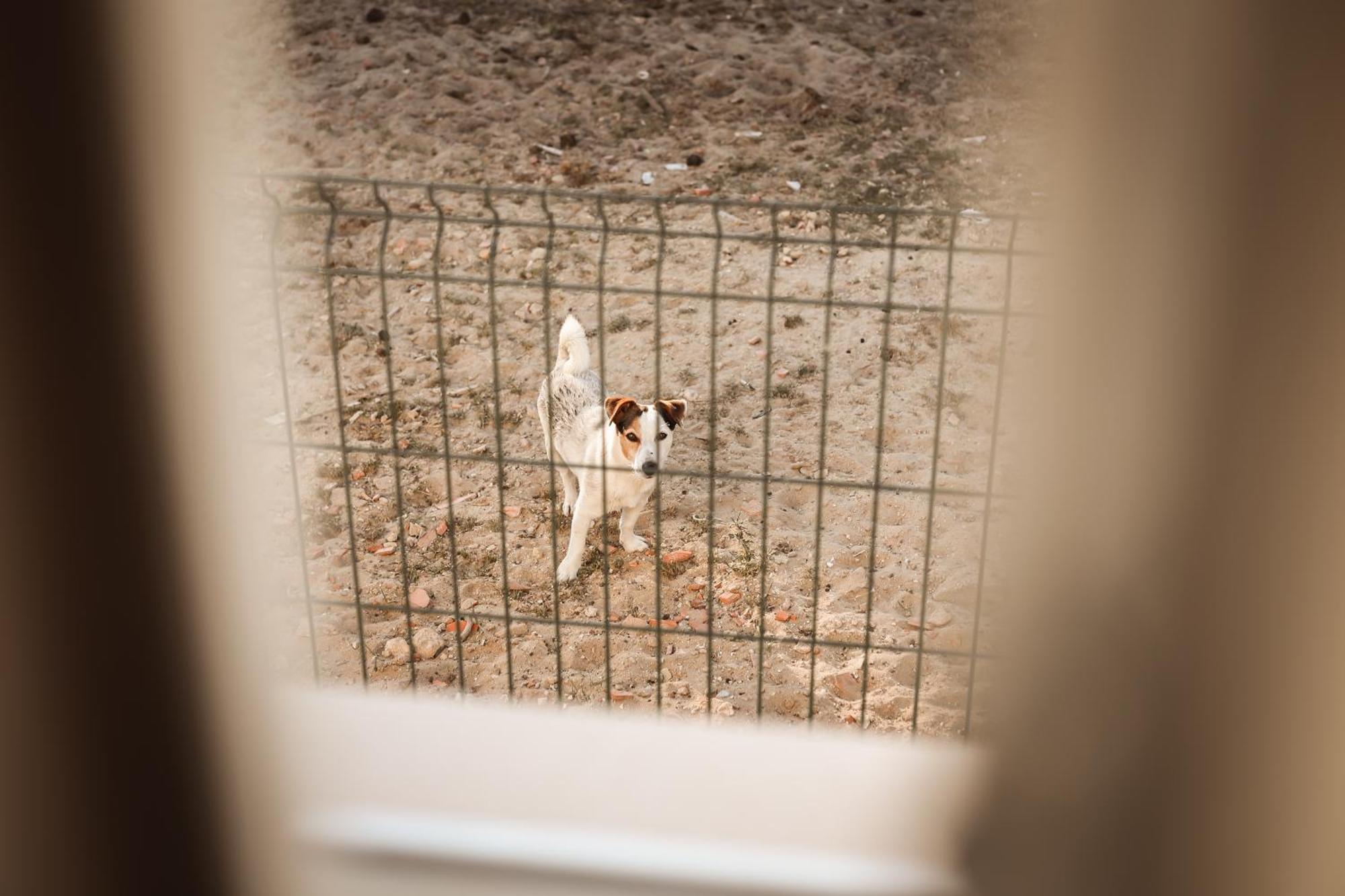 Quinta Das Cacadoras - Animal Lovers Only ปัลเมลา ภายนอก รูปภาพ