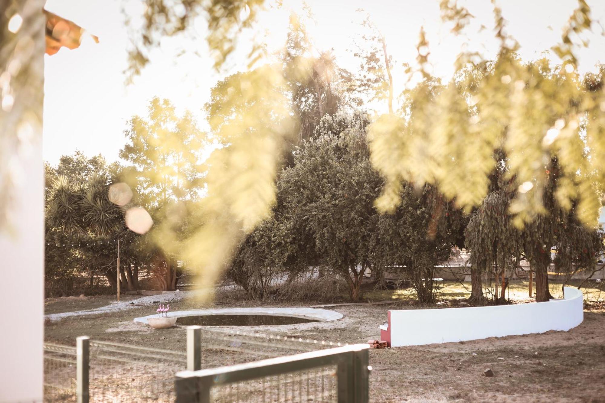 Quinta Das Cacadoras - Animal Lovers Only ปัลเมลา ภายนอก รูปภาพ
