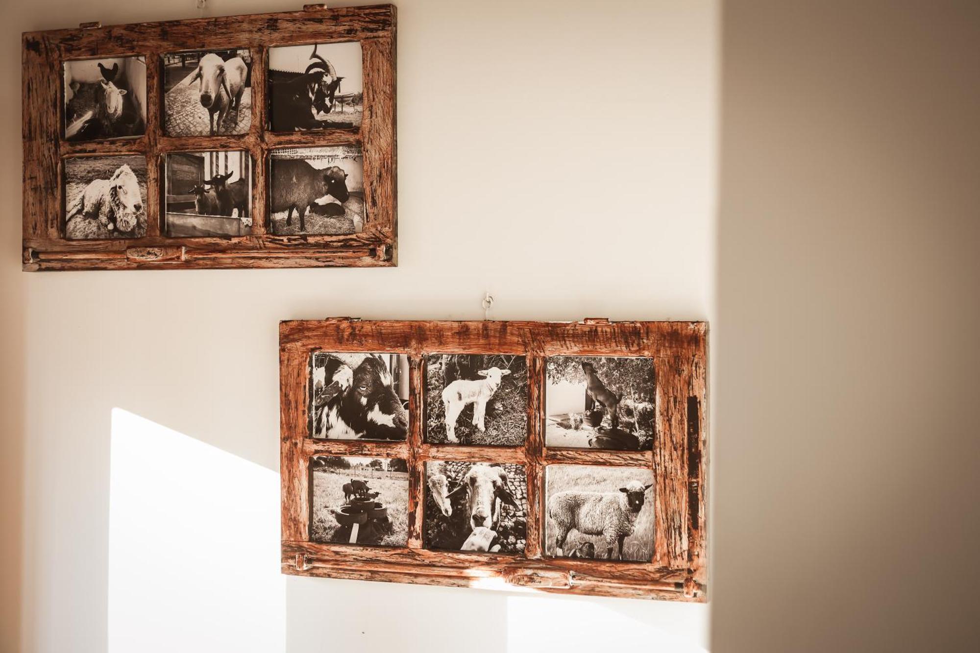 Quinta Das Cacadoras - Animal Lovers Only ปัลเมลา ภายนอก รูปภาพ