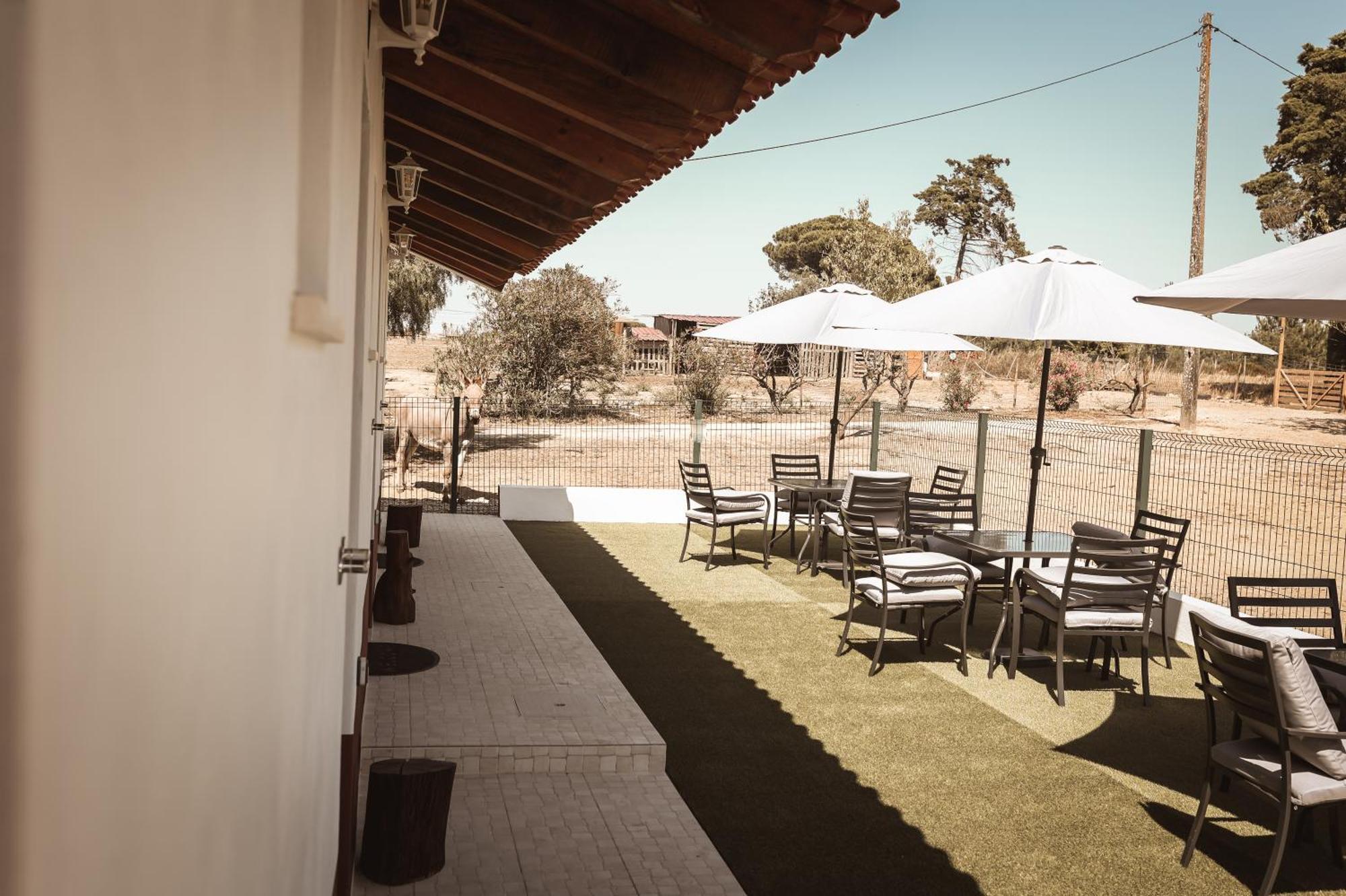 Quinta Das Cacadoras - Animal Lovers Only ปัลเมลา ภายนอก รูปภาพ