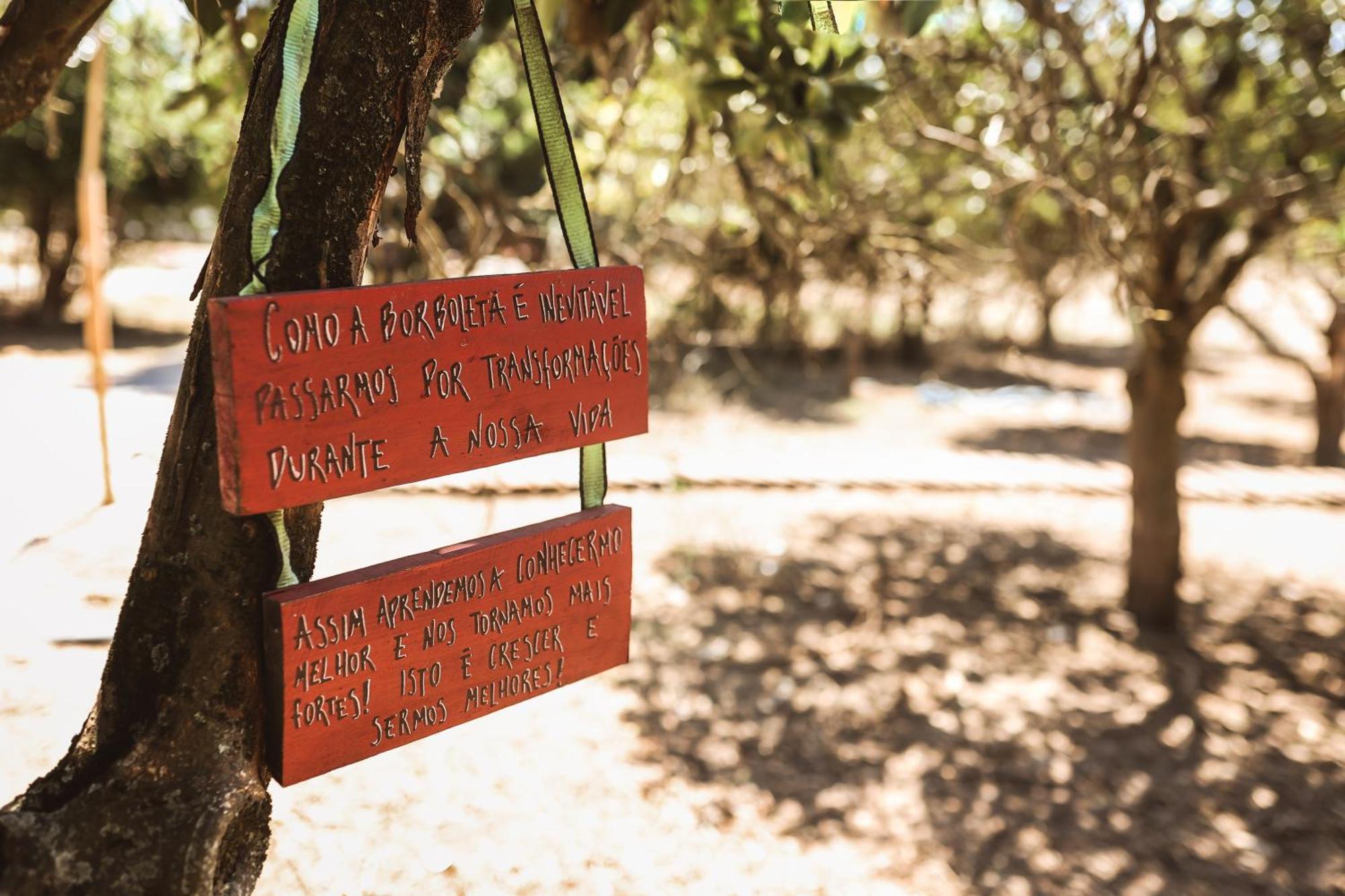 Quinta Das Cacadoras - Animal Lovers Only ปัลเมลา ภายนอก รูปภาพ