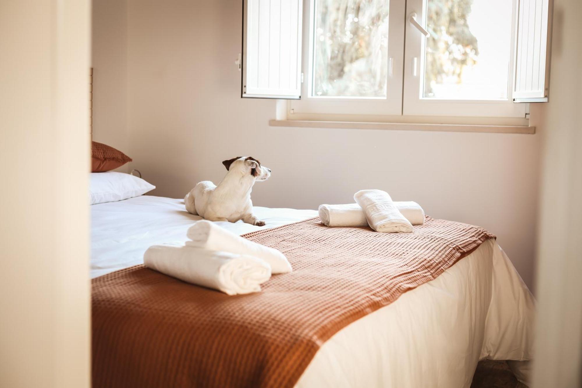 Quinta Das Cacadoras - Animal Lovers Only ปัลเมลา ภายนอก รูปภาพ