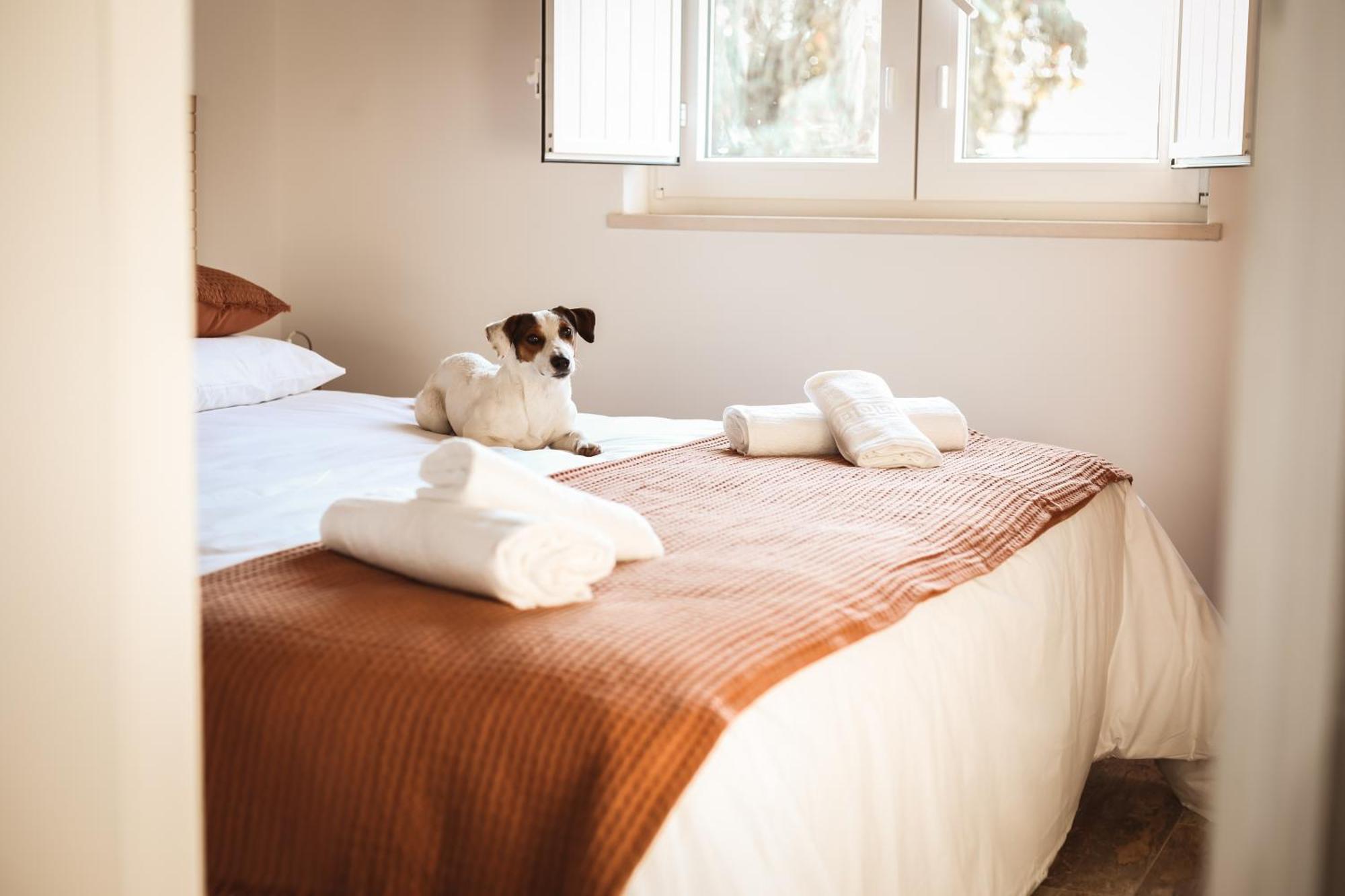 Quinta Das Cacadoras - Animal Lovers Only ปัลเมลา ภายนอก รูปภาพ
